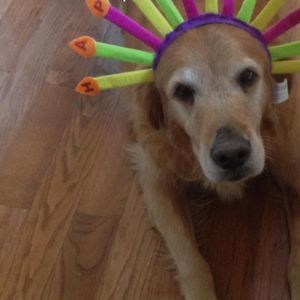 Meet your Posher, Terri